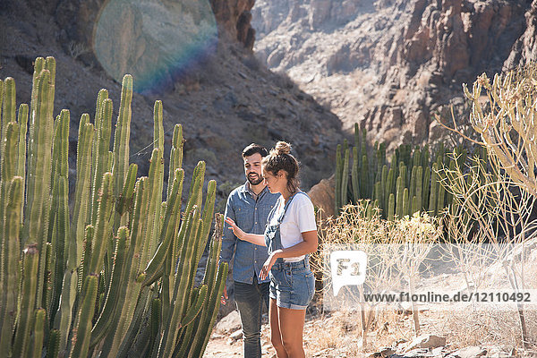Young hiking couple looking at cacti in valley  Las Palmas  Canary Islands  Spain