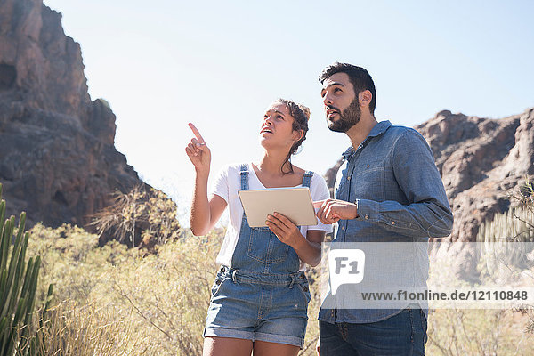 Young hiking couple looking up and pointing from valley  Las Palmas  Canary Islands  Spain