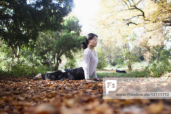 Frau führt Yoga durch  während sie auf trockenen Blättern bei Bäumen im Park liegt.