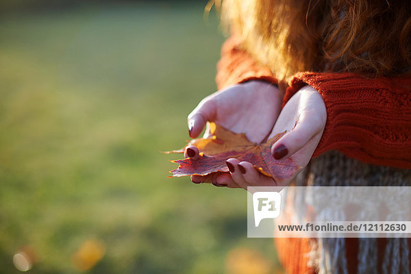 Cropped view of woman holding autumn leaf in palm of hands