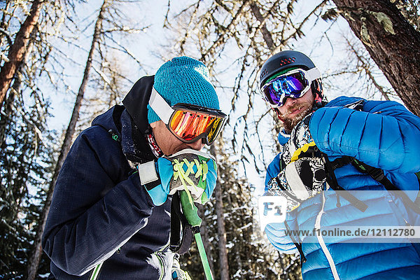 Two skiers standing together,  outdoors,  low angle view