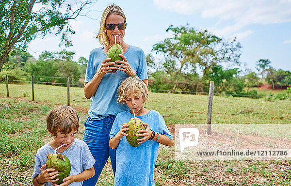 Family drinking through straws from coconut  Bonito  Mato Grosso do Sul  Brazil  South America