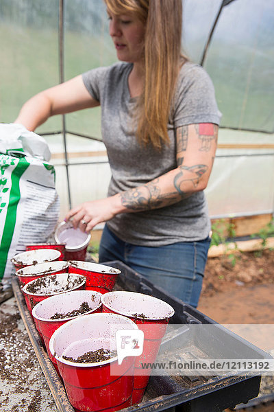 Frau in Polytunnel füllt Plastikbecher mit Kompost