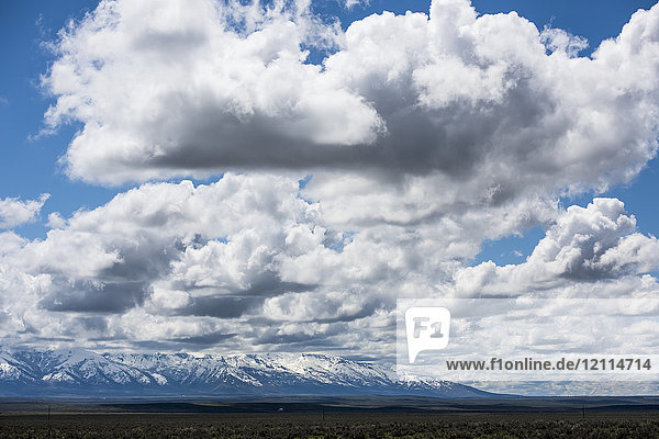 Landschaft mit flachem  offenem Land und einer schneebedeckten Bergkette in der Ferne unter einem blauen Himmel mit Wolken; Nevada  Vereinigte Staaten von Amerika