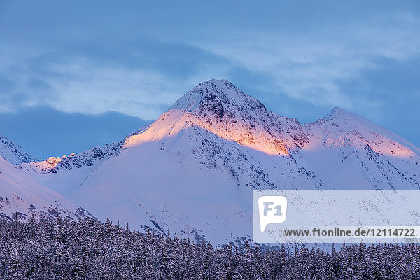 Tiefer Schnee bedeckt einen Fichtenwald und das warme Licht des Sonnenuntergangs beleuchtet einen verschneiten Berg im Hintergrund  Kenai-Halbinsel  Süd-Zentral-Alaska; Moose Pass  Alaska  Vereinigte Staaten von Amerika