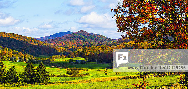 Waldlandschaft auf den Hügeln mit herbstlich gefärbtem Laub und saftig grünen Feldern im Vordergrund; Iron Hill  Quebec  Kanada