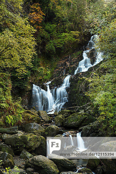 Torc-Wasserfall im Killarney-Nationalpark; Killarney  Grafschaft Kerry  Irland