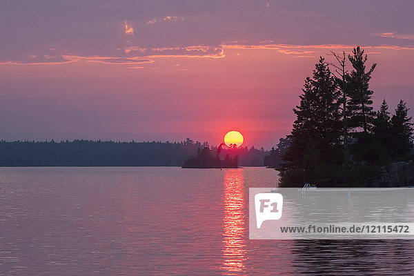 Dramatischer Sonnenuntergang mit glühender goldener Sonne und rosa Himmel über einem See; Lake of the Woods,  Ontario,  Kanada