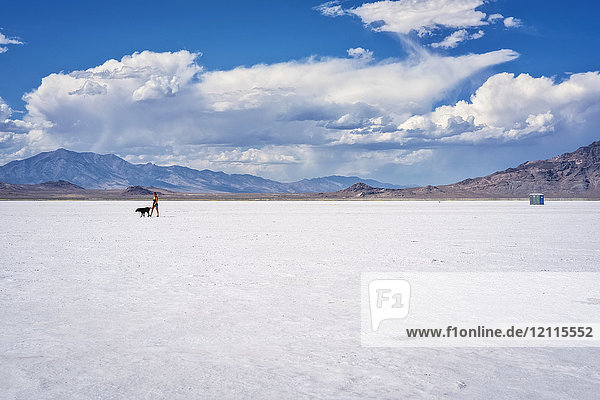 Woman walks her dog on Bonneville Salt Flats; Wendover  Utah  United States of America