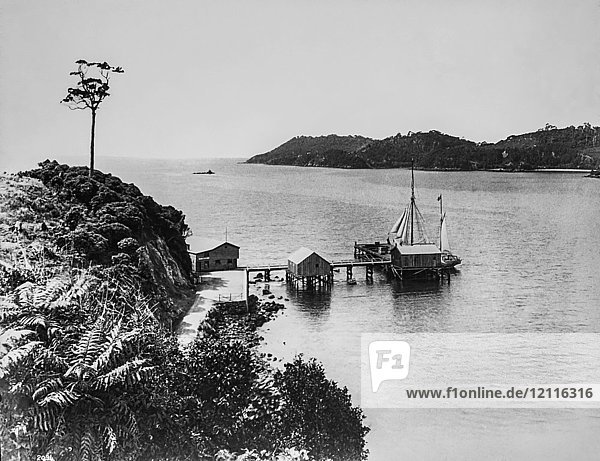 Glasnegativ um 1900.Viktorianisch.Sozialgeschichte. Ein Pier in Neuseeland mit Segelboot angedockt