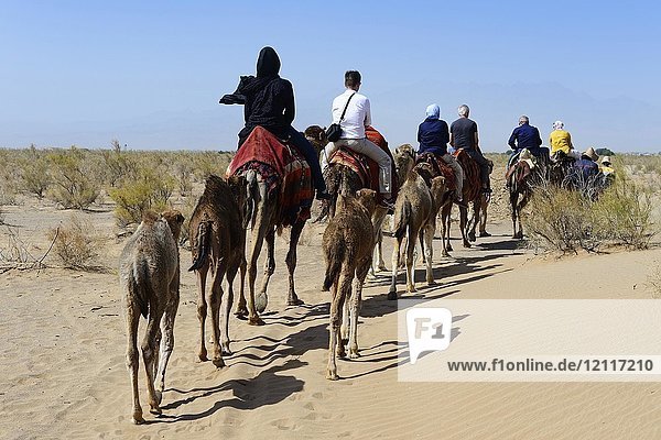 Touristen reiten auf Kamelen  Kameltour  Wüste Wadi Rum  bei Matinabad  Iran  Asien
