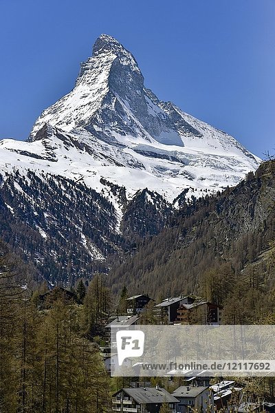 Matterhorn und Wohngebäude in Zermatt  Schweiz  Europa