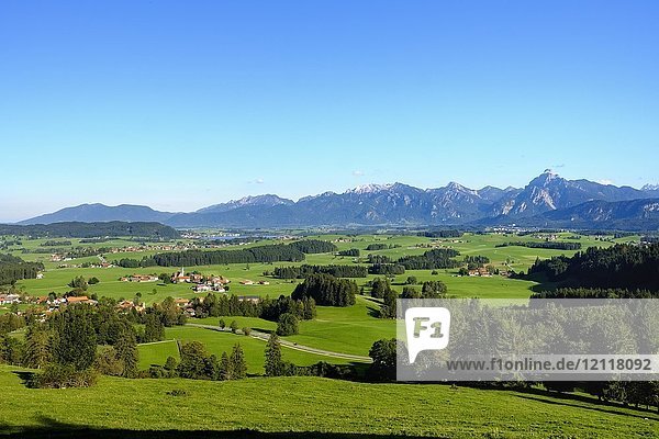 Blick von der Schlossbergalm bei Eisenberg  Hopfensee und Ammergauer Alpen mit Säuling  Ostallgäu  Allgäu  Schwaben  Bayern  Deutschland  Europa