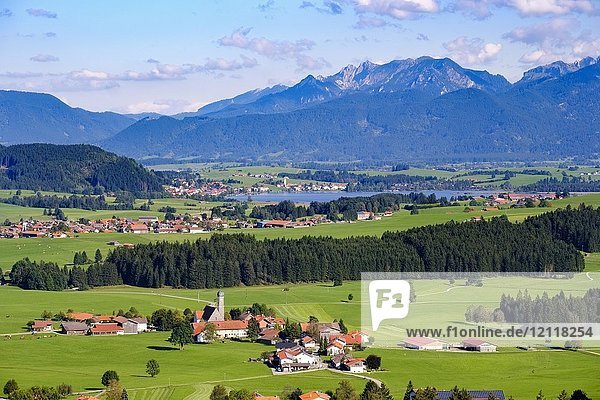 Blick vom Schlossberg bei Eisenberg  vor Dorf Speiden  Hopfensee und Ammergauer Alpen  Ostallgäu  Allgäu  Schwaben  Bayern  Deutschland  Europa