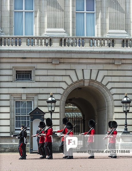 Gardisten der Königlichen Garde mit Bärenfellmütze  Wachablösung  Traditionelle Wachablösung  Buckingham Palace  London  England  Großbritannien