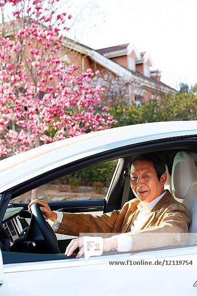 Older men travel by car