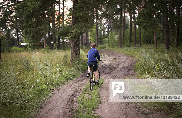 Caucasian teenage boys riding bicycle in woods