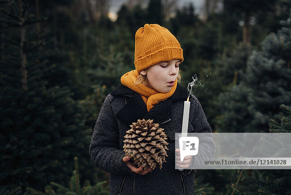 Kleiner Junge steht vor Tannenbäumen  bläst Kerze aus und hält Tannenzapfen.
