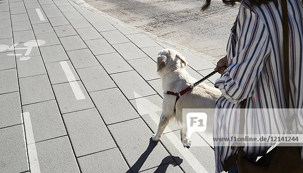 Junge Frau  die mit ihrem Hund auf dem Bürgersteig spazieren geht.