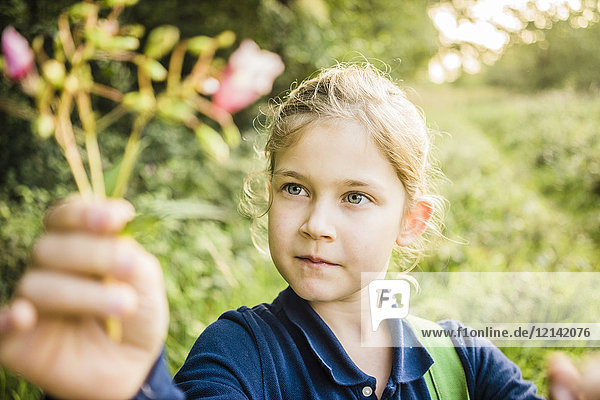 Portrait of girl holding wild flower in the nature