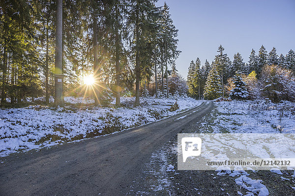 Deutschland  Niedersachsen  Altenau  Naturpark Harz im Winter  Wanderweg gegen die Morgensonne