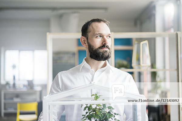 Businessman with bonsai tree in office