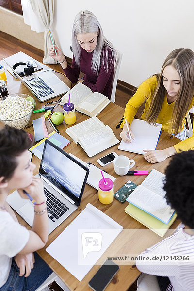 Group of female students working together at table at home