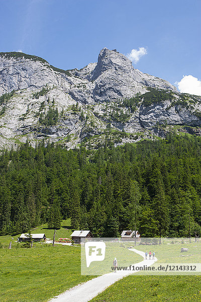 Austria  Upper Austria  Salzkammergut  Gosau  Holzmeisteralm  Dachstein massif