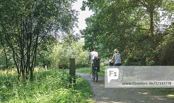 Family riding bicycle in a forest