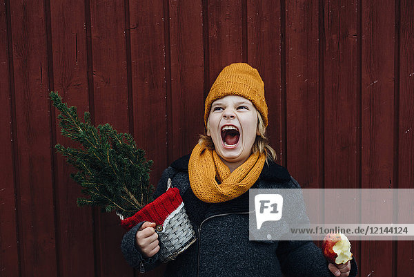 Lachender Junge vor einer Holzwand mit eingetopftem Weihnachtsbaum und kandiertem Apfel