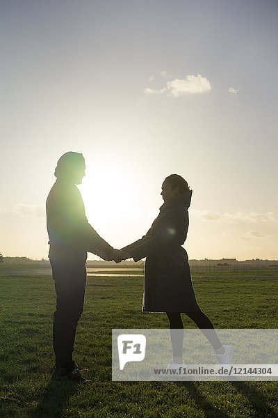 Affectionate young couple standing hand in hand on a meadow at sunset