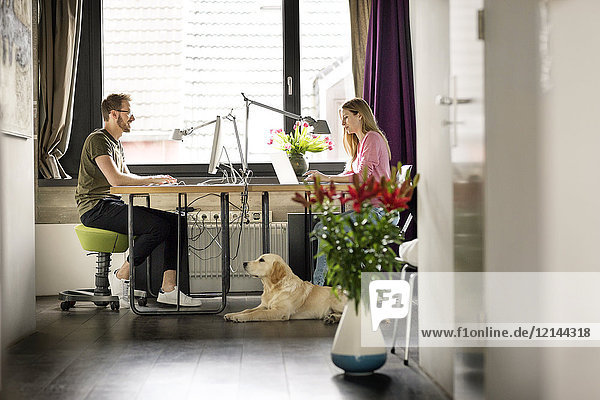 Mann und Frau mit Hund arbeiten zu Hause am Schreibtisch