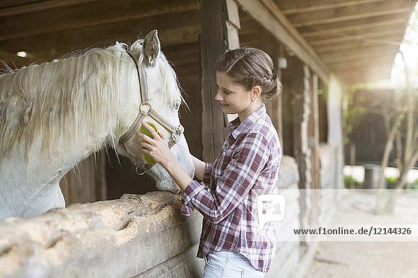 Lächelnde Frau  die sich um ein Pferd auf einem Bauernhof kümmert.