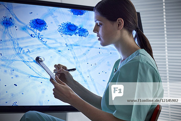 Krankenschwester mit Zwischenablage beim Betrachten eines vergrößerten Objektträgers auf dem Computerbildschirm