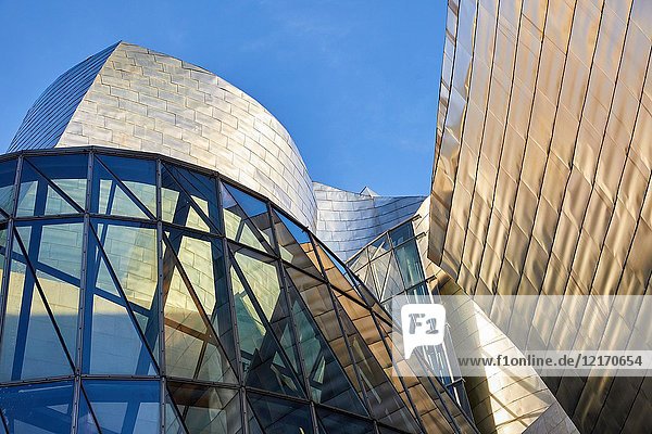 Guggenheim Museum  Bilbao  Bizkaia  Basque Country  Spain  Europe