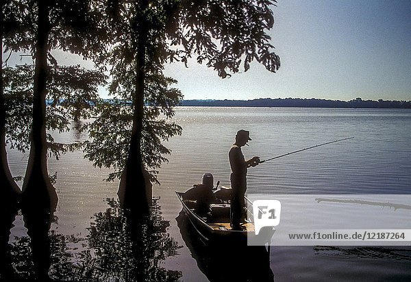 Fisherman in boat at Reelfoot Lake in Tennessee.