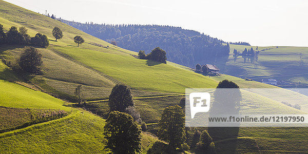 Germany,  Baden-Wurttemberg,  Black Forest,  Farmhouse in Muenster Valley