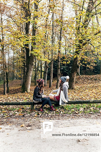 Zwei Frauen entspannen sich in einem herbstlichen Wald