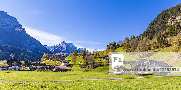 Schweiz  Kanton Bern  Gstaad  Almen und Bauernhäuser
