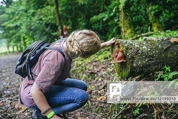 Costa Rica  Frau schaut auf einen Pilz auf einem Baumstamm