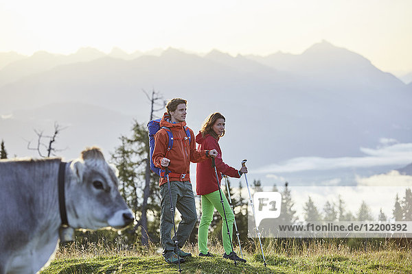 Österreich  Tirol  Mieming Plateau  Wanderer auf der Alm mit Kuh