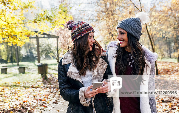 Two pretty women with cell phone smiling at each other in an autumnal forest