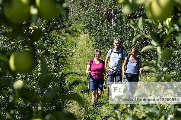Italien Südtirol Vinschgau Naturns Apfelrinne Wanderer