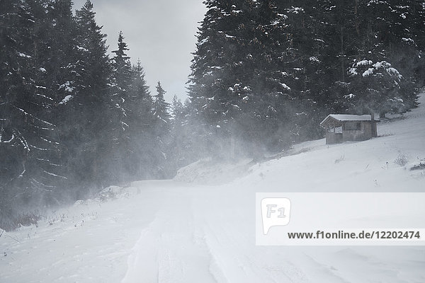 Bulgarien  Straße mit Schneesturm im Wald