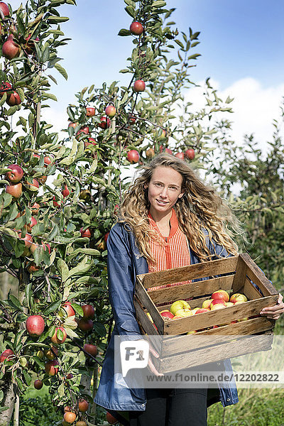 Lächelnde Frau erntet Äpfel im Obstgarten