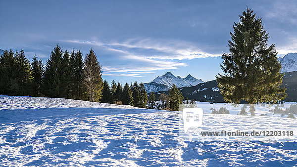 Deutschland  Bayern  Oberbayern  Garmisch-Partenkirchen  Werdenfelser Land  Buckelwiese im Winter