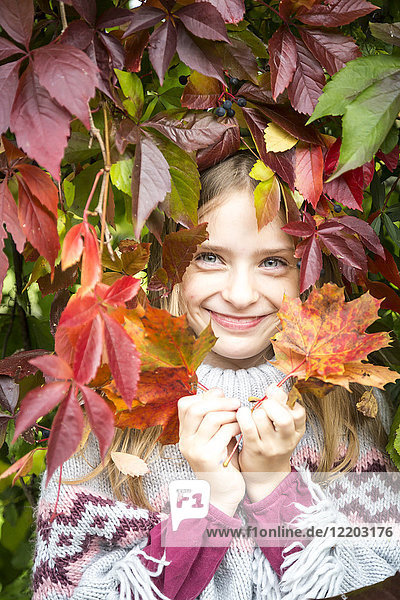 Porträt eines glücklichen Mädchens,  das sich hinter Herbstblättern versteckt.
