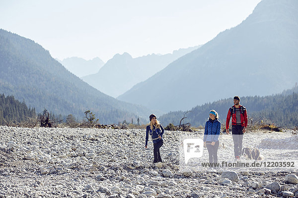 Germany  Bavaria  Karwendel  group of friends hiking with dog in dried riverbed