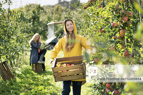 Zwei Frauen ernten Äpfel im Obstgarten