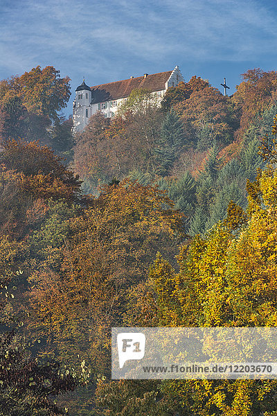 Deutschland  Baden-Württemberg  Bodman  Herbstwald auf Schloss Frauenberg